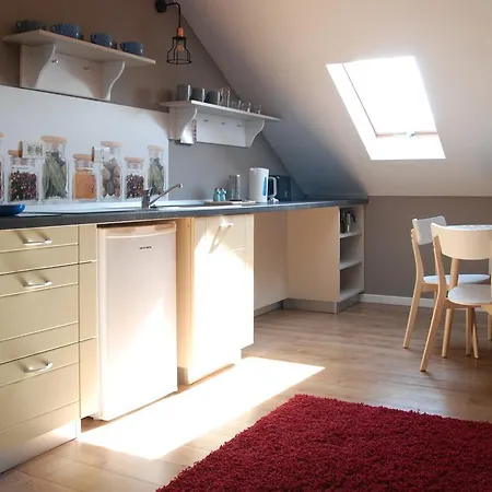 House 公寓 蒂米什瓦拉