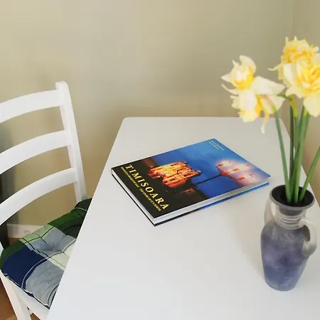 Apartament House Timișoara