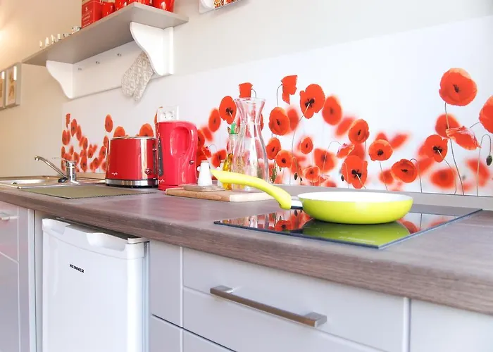 House 蒂米什瓦拉