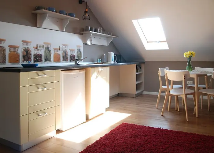 House Appartement Timişoara