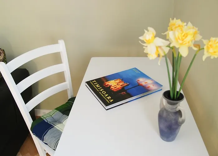 公寓 House 蒂米什瓦拉