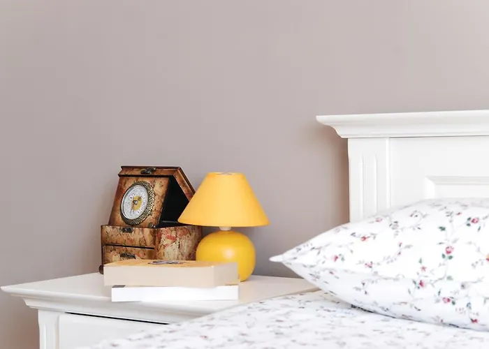 House * 蒂米什瓦拉