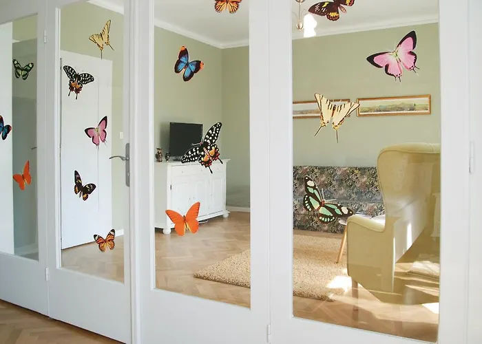 House 蒂米什瓦拉